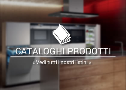 vendita ingrosso elettrodomestici incasso Kitchen Top Service